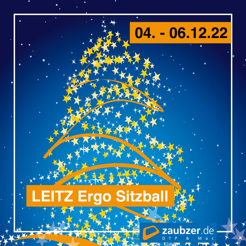 zaubzer.de - Adventskalender - LEITZ Ergo Sitzball Cosy
